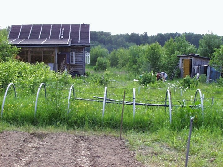 88.JPG (280.13 КБ) Просмотров: 18639 88.JPG